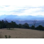 Near Lamington National Park. Photo by Rick Taylor. Copyright Borderland Tours. All rights reserved.