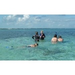 Snorkeling at Ambergris Caye. Photo by Joyce Meyer and Mike West.  All rights reserved. 