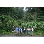Cloud Forest Birders. Photo by Charles Oldham. All rights reserved.