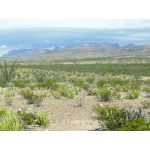Chisos Mountains from West Entrance at Big Bend. Photo by Rick Taylor. Copyright Borderland Tours. All rights reserved.