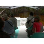 Mangrove Channel. Photo by Rick Taylor. Copyright Borderland Tours. All rights reserved.