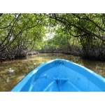Boat ride into Los Haitises NP. Photo by Rick Taylor. Copyright Borderland Tours. All rights reserved.
