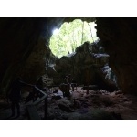 Pictograph Cave, Los Haitises NP. Photo by Rick Taylor. Copyright Borderland Tours. All rights reserved.