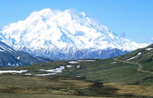 Mt mckinley in june denali national park. Photo by Rick Taylor. Copyright Borderland Tours. All rights reserved.