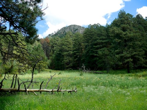 Barfoot park chiricahua mountains. Photo by Rick Taylor. Copyright Borderland Tours. All rights reserved. 