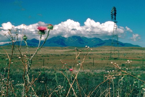 Santa rita mountains. Photo by Rick Taylor. Copyright Borderland Tours. All rights reserved.