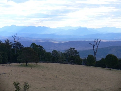 Near lamington national park. Photo by Rick Taylor. Copyright Borderland Tours. All rights reserved. 201