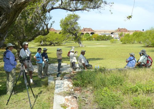 Borderland birding inside fort jefferson dry tortugas. Photo by Rick Taylor. Copyright Borderland Tours. All rights reserved. 