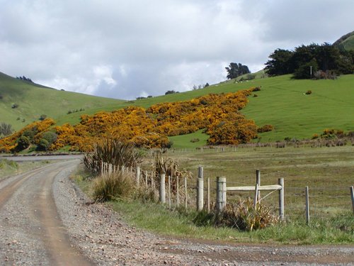 South island countryside land of the hobbit. Photo by David Semler and  Marsha Steffen. All rights reserved.