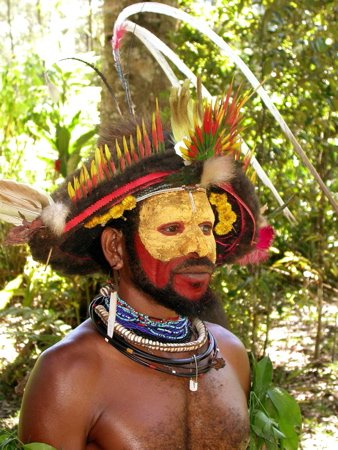 Huli tribesman with bird-of-paradise head-dress. Photo by Adam Riley. All rights reserved.