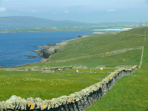 Rock-walled sheep paddock shetland islands. Photo by Rick Taylor. Copyright Borderland Tours. All rights reserved.rock wall paddocks on shetland islandsjpg