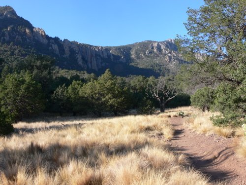 Boulder meadow chisos mountains. Photo by Rick Taylor. Copyright Borderland Tours. All rights reserved.