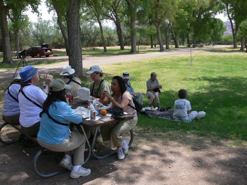 Picnic at cottonwood campground. Photo by Rick Taylor. Copyright Borderland Tours. All rights reserved.